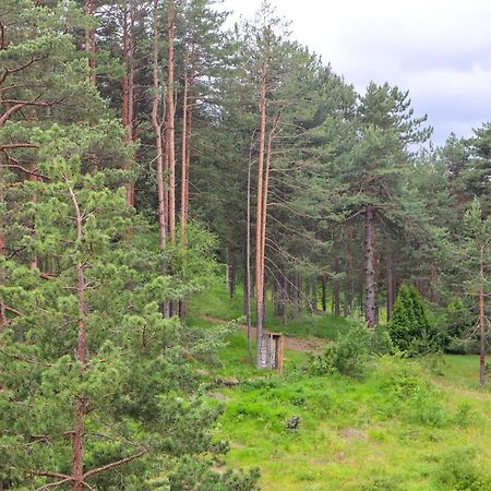 Zlatibor Holiday, Vila Leonardo VI Dış mekan fotoğraf