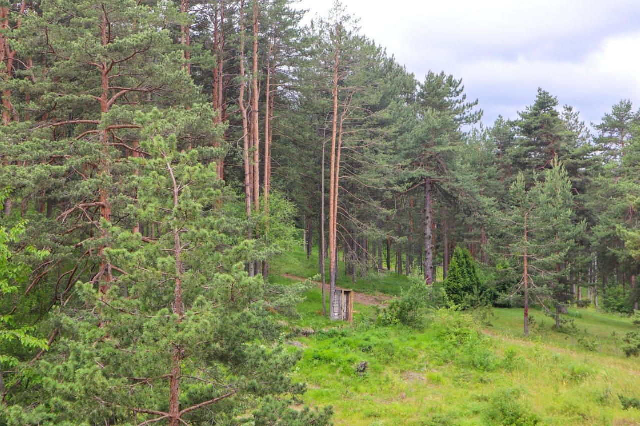 Zlatibor Holiday, Vila Leonardo VI Daire Dış mekan fotoğraf