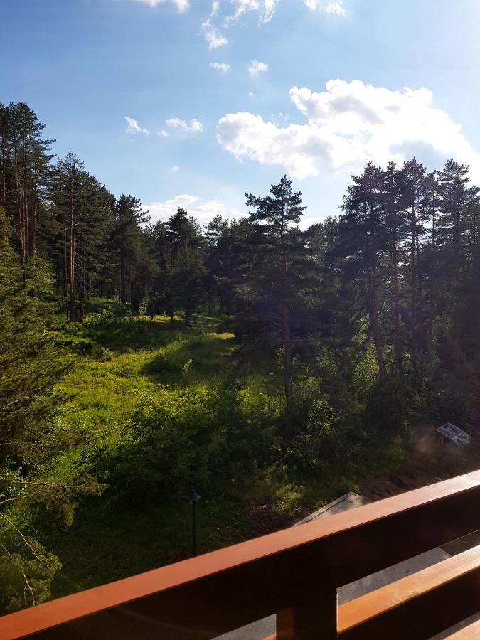 Zlatibor Holiday, Vila Leonardo VI Daire Dış mekan fotoğraf