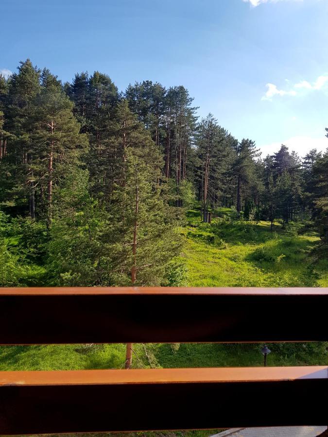 Zlatibor Holiday, Vila Leonardo VI Daire Dış mekan fotoğraf